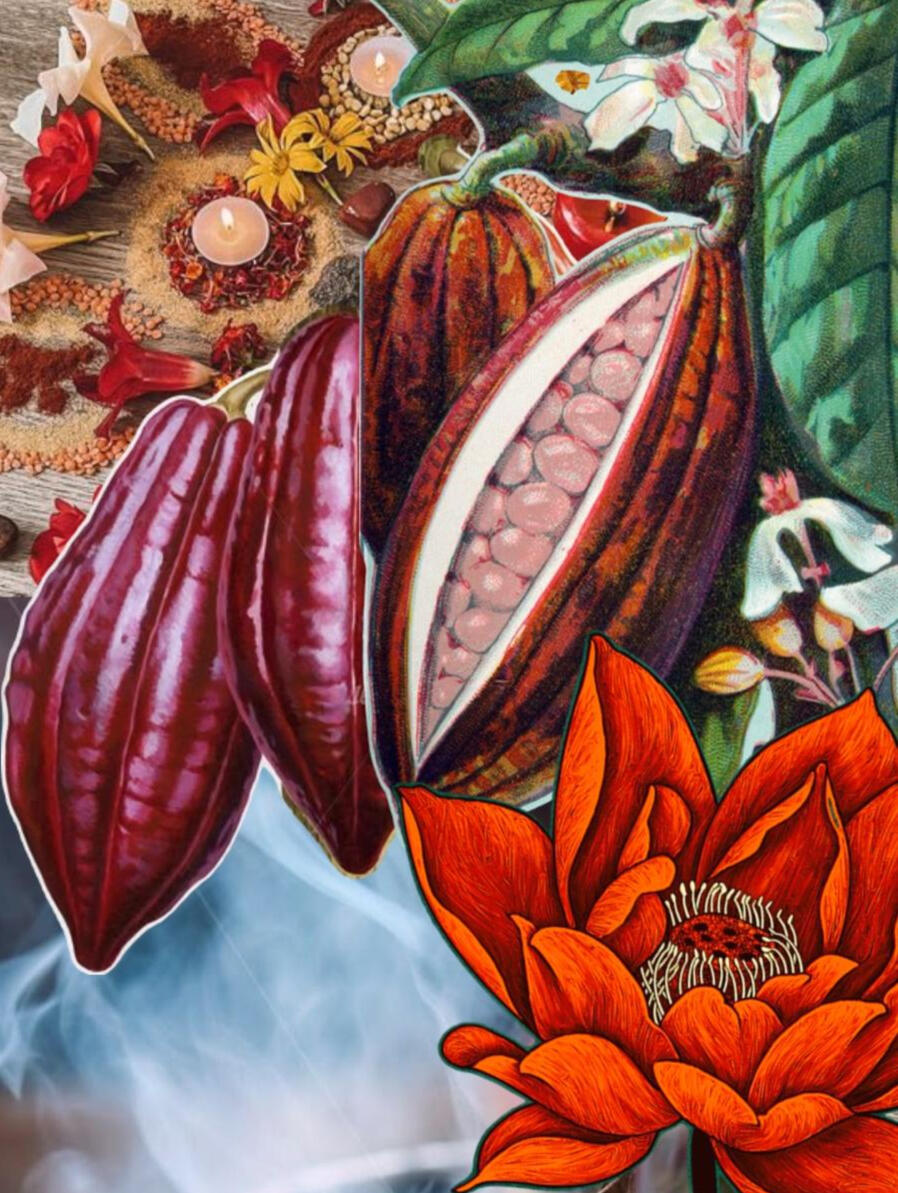 Chakra Workshop Chakra Workshop