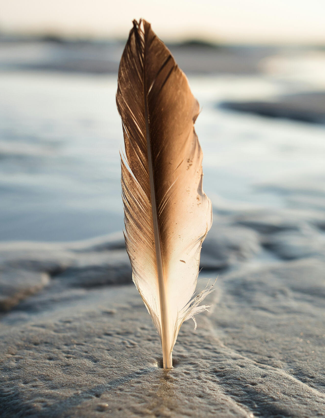 Testimonials Testimonials